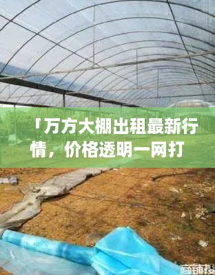 「萬方大棚出租最新行情，價(jià)格透明一網(wǎng)打盡」