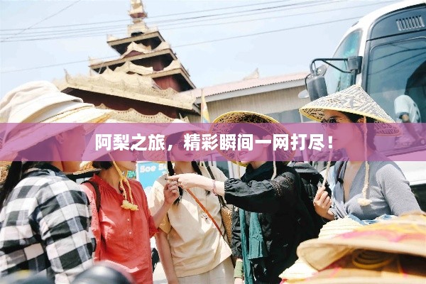 阿梨之旅，精彩瞬間一網(wǎng)打盡！