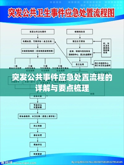 突發(fā)公共事件應急處置流程的詳解與要點梳理