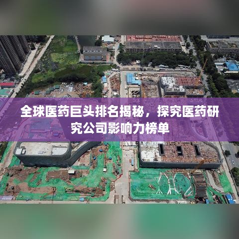 全球醫(yī)藥巨頭排名揭秘，探究醫(yī)藥研究公司影響力榜單