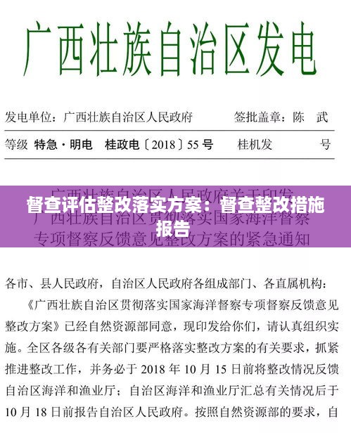 督查評估整改落實方案：督查整改措施報告 