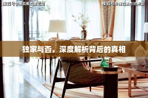 獨(dú)家與否，深度解析背后的真相