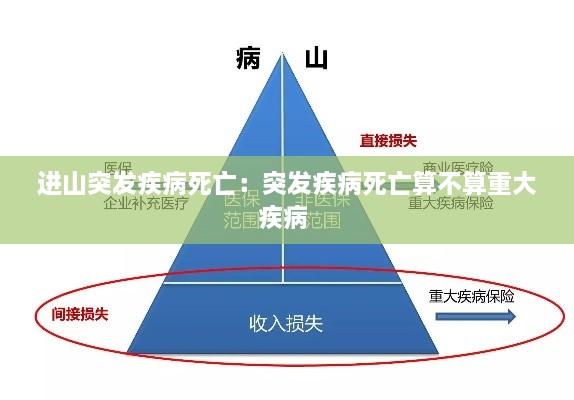 進(jìn)山突發(fā)疾病死亡：突發(fā)疾病死亡算不算重大疾病 
