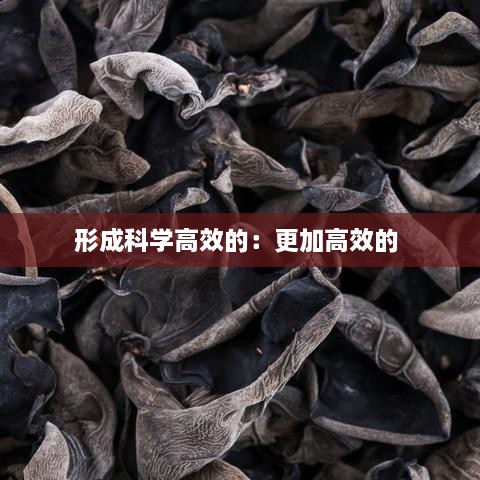 形成科學(xué)高效的：更加高效的 