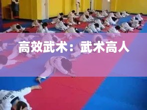 高效武術(shù)：武術(shù)高人 