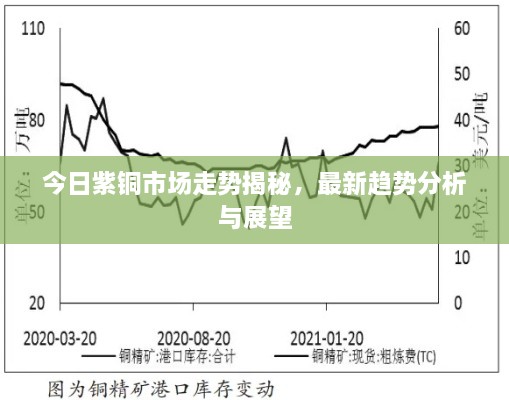 今日紫銅市場(chǎng)走勢(shì)揭秘，最新趨勢(shì)分析與展望