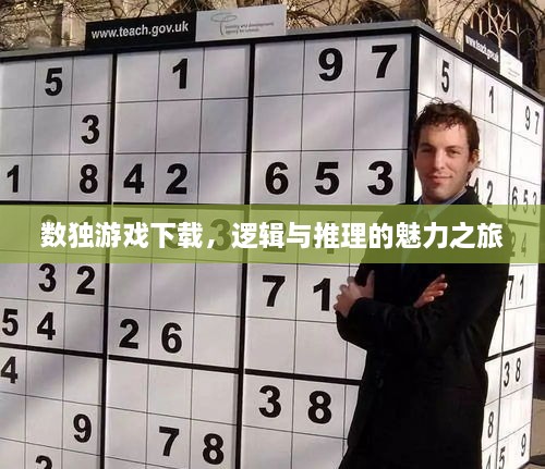 數(shù)獨游戲下載，邏輯與推理的魅力之旅