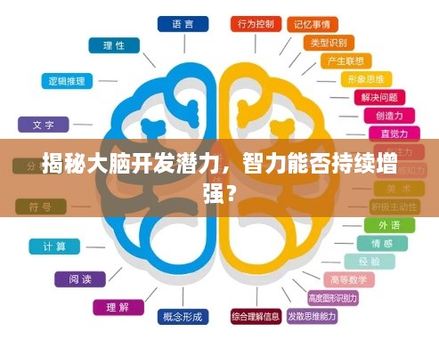 揭秘大腦開發(fā)潛力，智力能否持續(xù)增強？