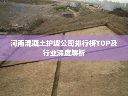 河南混凝土護(hù)坡公司排行榜TOP及行業(yè)深度解析
