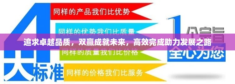 追求卓越品質(zhì)，雙贏成就未來(lái)，高效完成助力發(fā)展之路