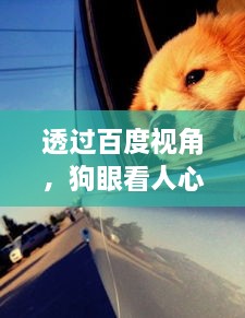 透過百度視角，狗眼看人心，洞悉大千世界