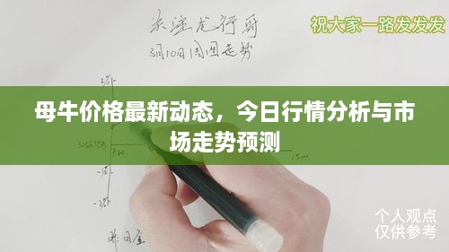 母牛價格最新動態(tài)，今日行情分析與市場走勢預(yù)測