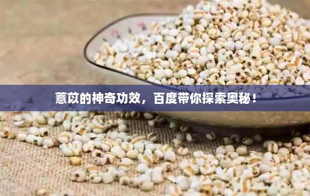 薏苡的神奇功效，百度帶你探索奧秘！