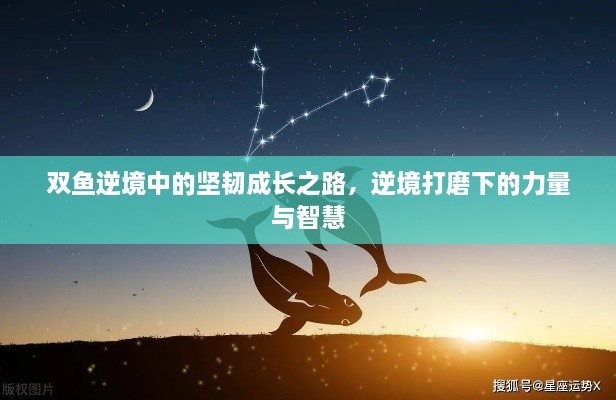 雙魚逆境中的堅(jiān)韌成長(zhǎng)之路，逆境打磨下的力量與智慧