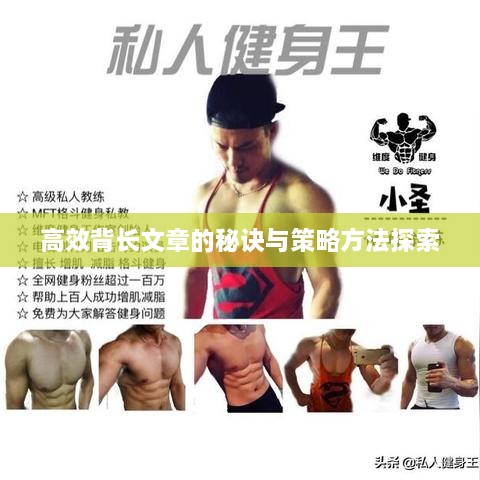 高效背長文章的秘訣與策略方法探索