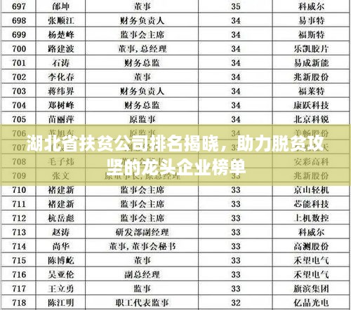 湖北省扶貧公司排名揭曉，助力脫貧攻堅(jiān)的龍頭企業(yè)榜單