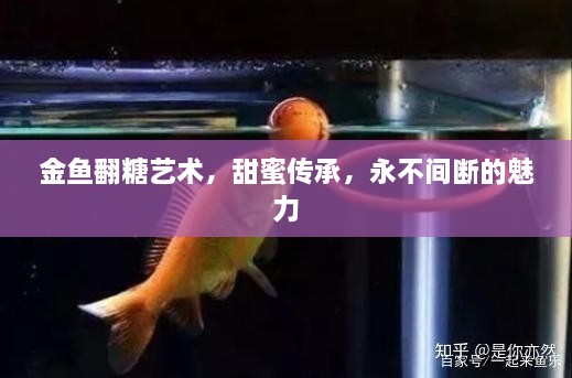 金魚(yú)翻糖藝術(shù)，甜蜜傳承，永不間斷的魅力
