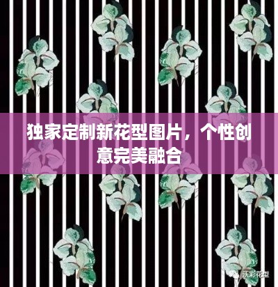 獨(dú)家定制新花型圖片，個(gè)性創(chuàng)意完美融合