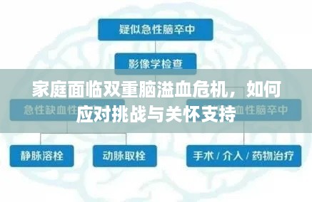 家庭面臨雙重腦溢血危機(jī)，如何應(yīng)對挑戰(zhàn)與關(guān)懷支持