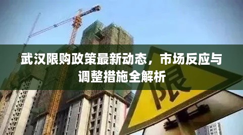 武漢限購(gòu)政策最新動(dòng)態(tài)，市場(chǎng)反應(yīng)與調(diào)整措施全解析