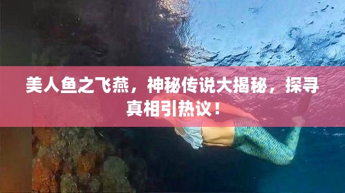 美人魚之飛燕，神秘傳說大揭秘，探尋真相引熱議！