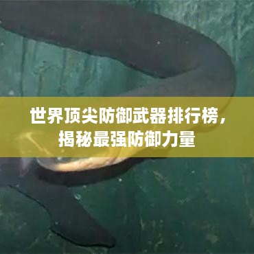 第322頁