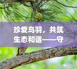 珍愛(ài)鳥(niǎo)羽，共筑生態(tài)和諧——守護(hù)鳥(niǎo)類，共創(chuàng)綠色家園