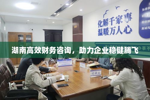 湖南高效財(cái)務(wù)咨詢，助力企業(yè)穩(wěn)健騰飛