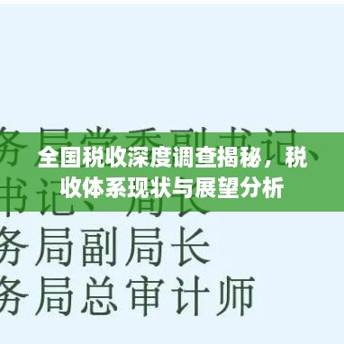 全國(guó)稅收深度調(diào)查揭秘，稅收體系現(xiàn)狀與展望分析