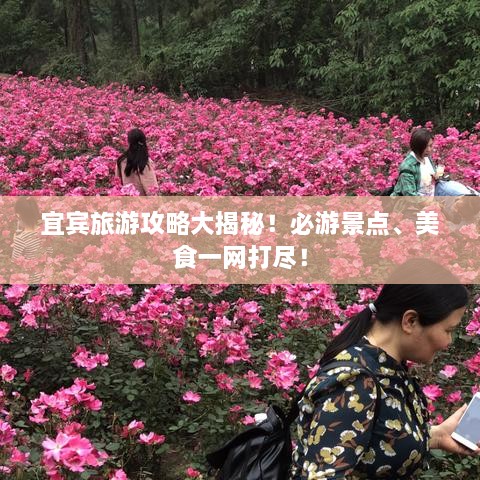宜賓旅游攻略大揭秘！必游景點(diǎn)、美食一網(wǎng)打盡！