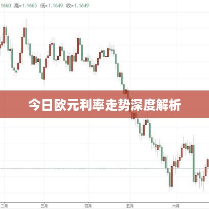 今日歐元利率走勢深度解析