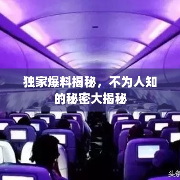獨家爆料揭秘，不為人知的秘密大揭秘