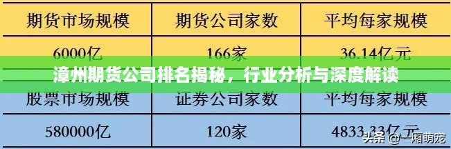 漳州期貨公司排名揭秘，行業(yè)分析與深度解讀