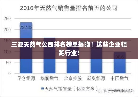 三亞天然氣公司排名榜單揭曉！這些企業(yè)領(lǐng)跑行業(yè)！