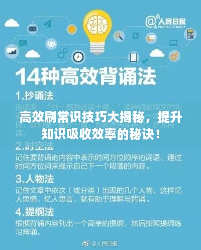 高效刷常識(shí)技巧大揭秘，提升知識(shí)吸收效率的秘訣！