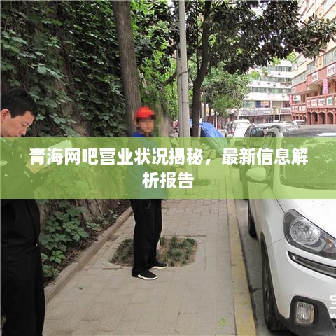 青海網(wǎng)吧營(yíng)業(yè)狀況揭秘，最新信息解析報(bào)告