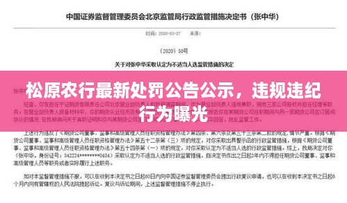 松原農(nóng)行最新處罰公告公示，違規(guī)違紀(jì)行為曝光