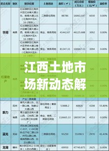 江西土地市場新動(dòng)態(tài)解讀，最新土地出租視頻全解析