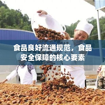 食品良好流通規(guī)范，食品安全保障的核心要素