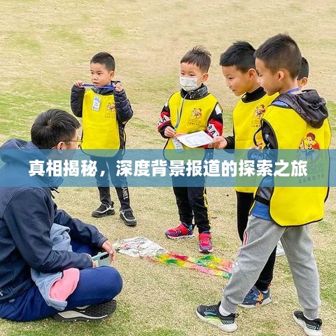 真相揭秘，深度背景報道的探索之旅