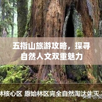 五指山旅游攻略，探尋自然人文雙重魅力