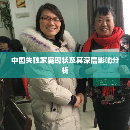 中國(guó)失獨(dú)家庭現(xiàn)狀及其深層影響分析