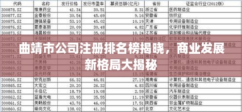 曲靖市公司注冊排名榜揭曉，商業(yè)發(fā)展新格局大揭秘