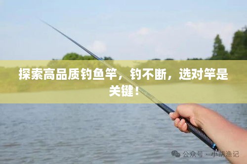 探索高品質(zhì)釣魚竿，釣不斷，選對竿是關(guān)鍵！