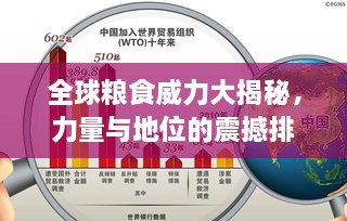 全球糧食威力大揭秘，力量與地位的震撼排名