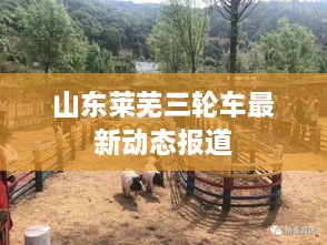 山東萊蕪三輪車最新動(dòng)態(tài)報(bào)道