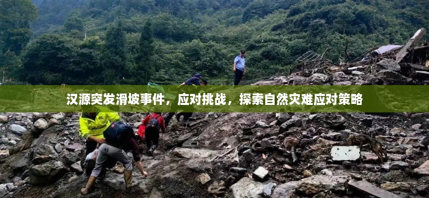 漢源突發(fā)滑坡事件，應(yīng)對挑戰(zhàn)，探索自然災(zāi)難應(yīng)對策略