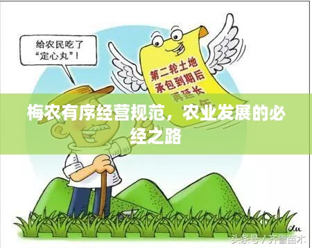 梅農(nóng)有序經(jīng)營規(guī)范，農(nóng)業(yè)發(fā)展的必經(jīng)之路