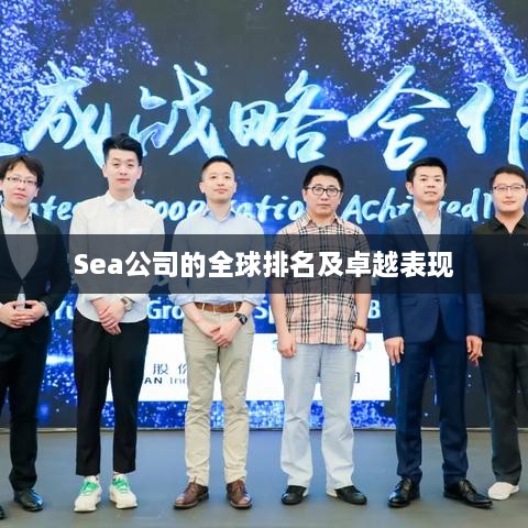 Sea公司的全球排名及卓越表現(xiàn)