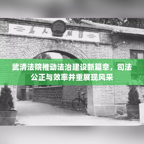 武清法院推動法治建設(shè)新篇章，司法公正與效率并重展現(xiàn)風(fēng)采